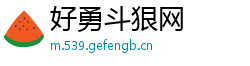 好勇斗狠网